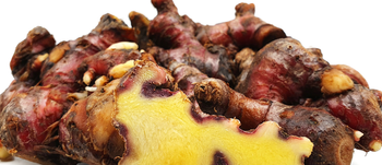 Indonesian Red Ginger - PT Cipta Tunggal Agronusa - Indonesia